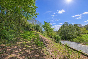 Woodland- click for photo gallery